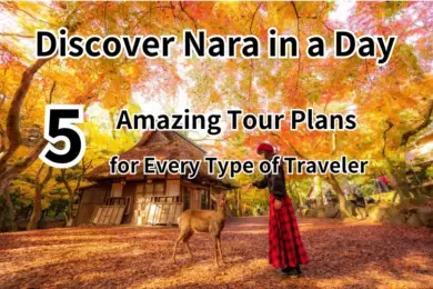 Nara One-Day Tour