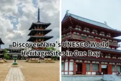 Discover Nara's UNESCO World Heritage Sites in One Day