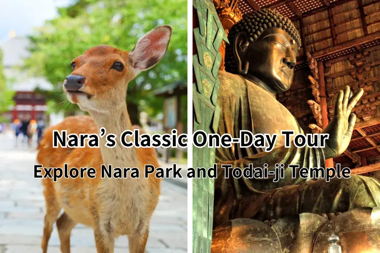 Nara’s Classic One-Day Tour: Explore Nara Park and Todai-ji Temple