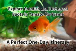 Explore Goldfish and Historical Spots in Yamato-Koriyama: A Perfect One-Day Itinerary