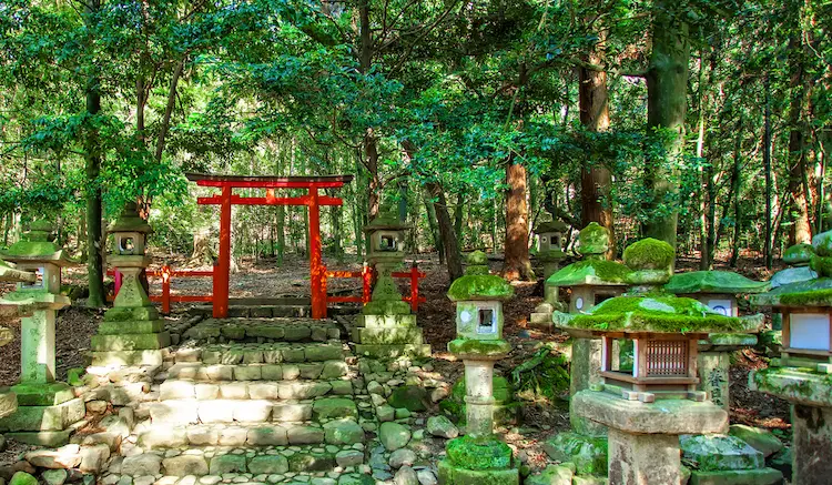 Kasugayama Primeval Forest