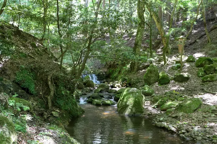 Kasugayama Primeval Forest