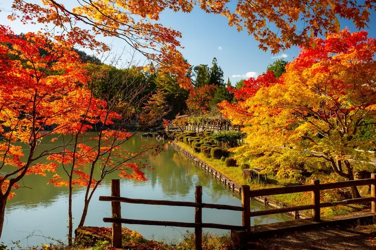 Takayama Autumn