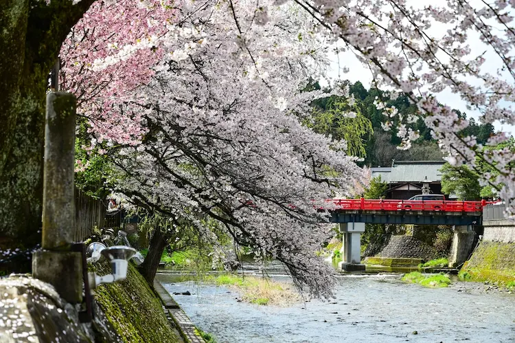 Takayama Spring