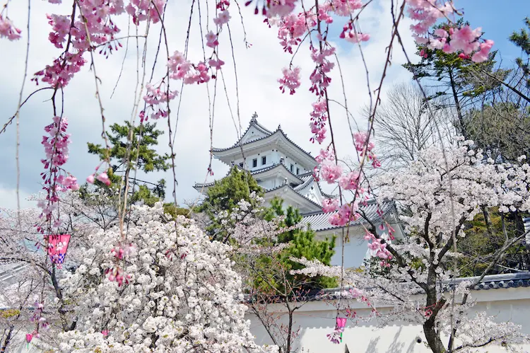 Ogaki Castle