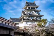 Gifu castle